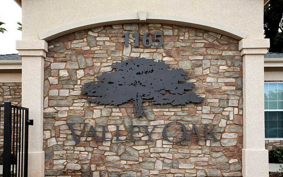 Valley Oak Image 9