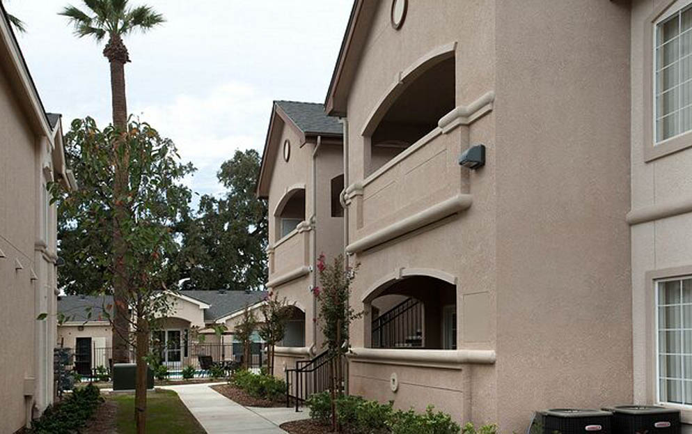 Valley Oak Image 12